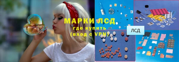 стаф Алексин