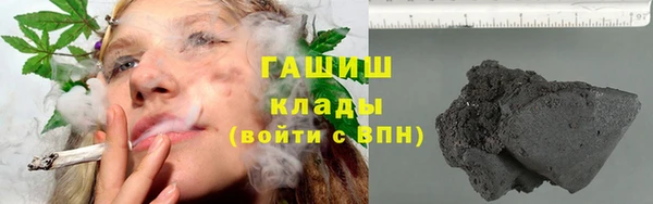 стаф Алексин
