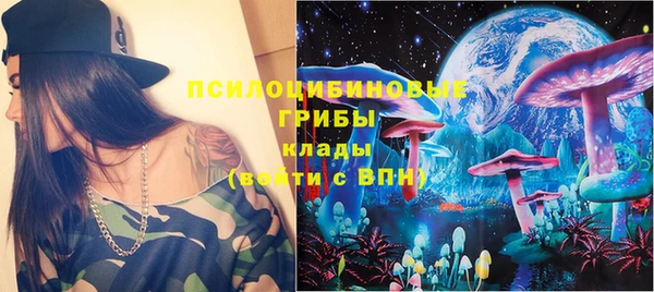стаф Алексин