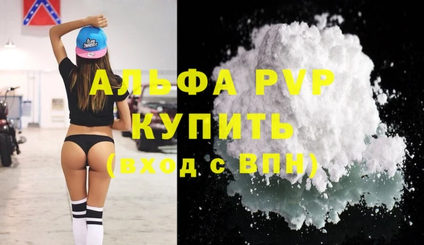 стаф Алексин