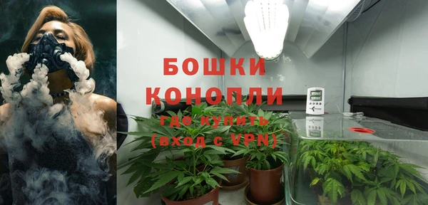 гидропоника Алзамай
