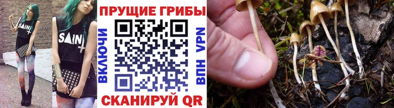 купить  сайты  Ивдель  Галлюциногенные грибы GOLDEN TEACHER 