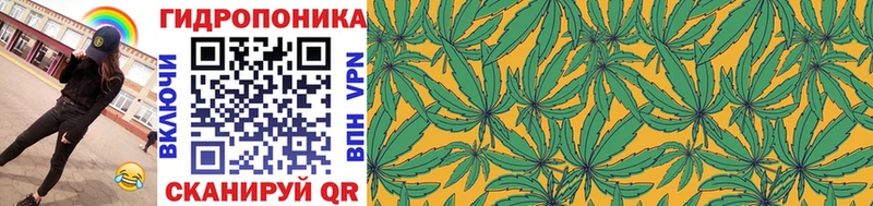 Бошки Шишки марихуана  Ивдель 